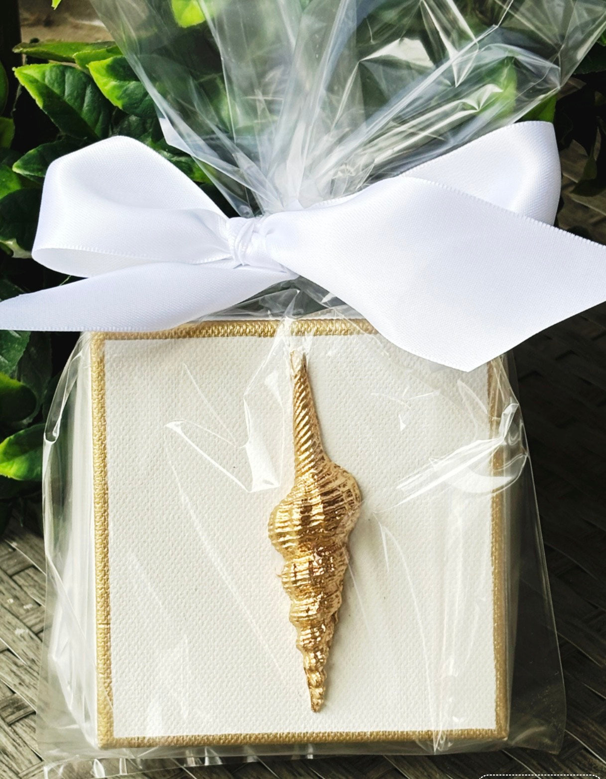 Hand Gilded Seashell Canvas Art